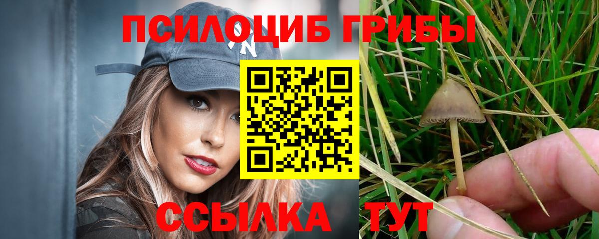 Галлюциногенные грибы Psilocybine cubensis  Вход с VPN  Полевской  Галлюциногенные грибы Cubensis 